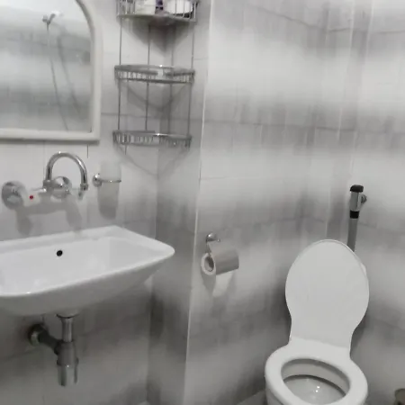 Guest house Petrovi 2*