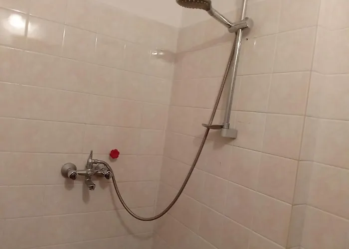 за гости петрови プリモルスコ