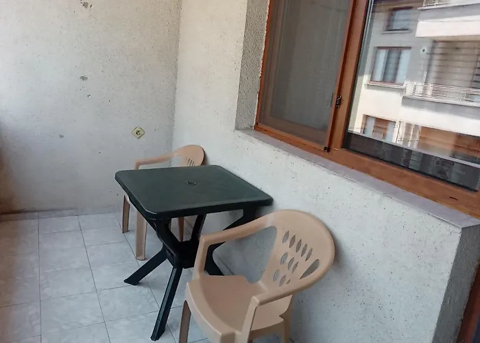 за гости петрови プリモルスコ